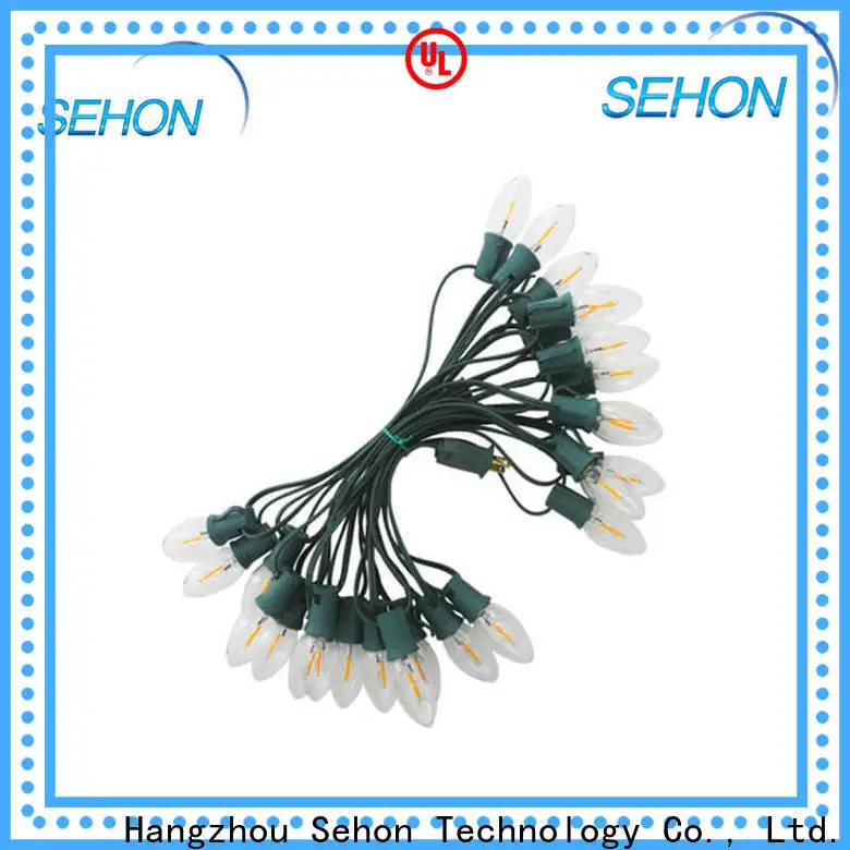 High-quality indoor outdoor string lights manufacturers used on Christmas 1