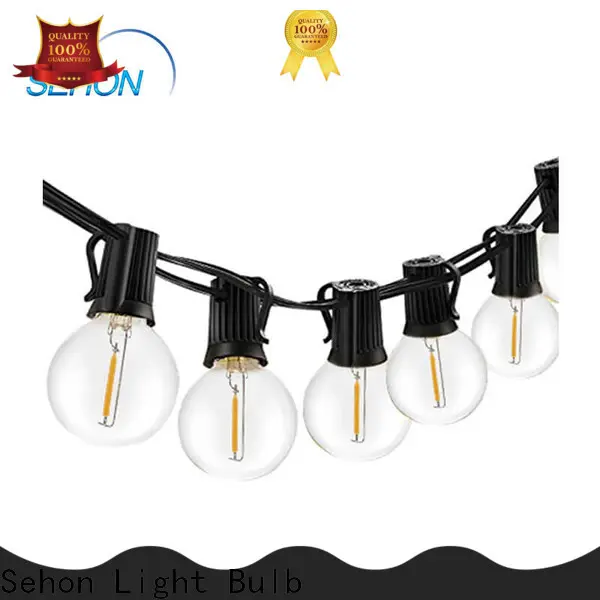 Sehon outdoor led globe string lights Suppliers used on Halloween 1