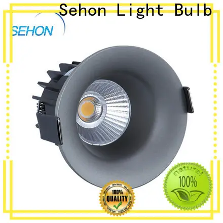 Sehon 100mm downlight factory for hotel lighting 1