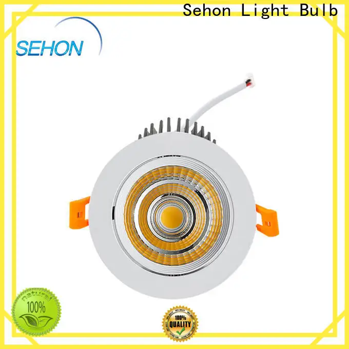 Sehon ceiling down light fittings for business for home lighting 1