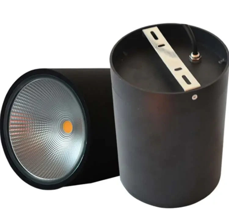 9/12/15/20/25/30W Pendant Haning Ceiling LED Downlights Round Shapes 1