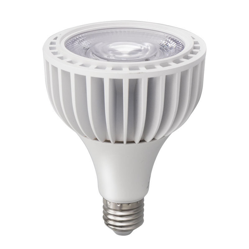 10W AC85-265V 3000K/4000K/5800K Bridgelux Chip LED PAR20 Spotlight 2