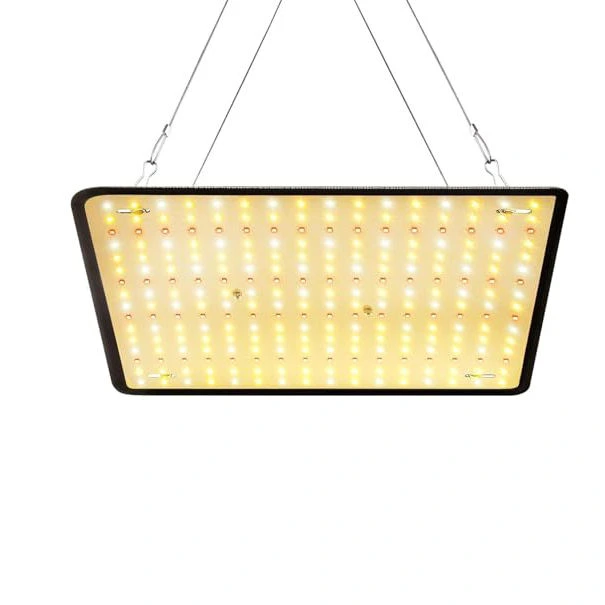 19W 620nm+465nm+3000K LED Quantum Board 1