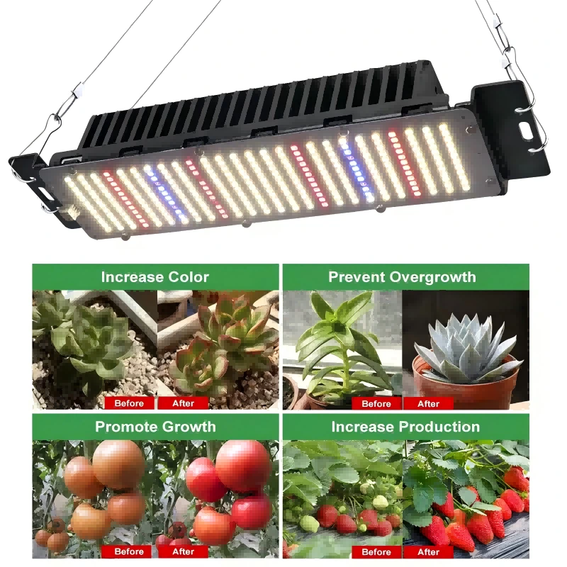 Dimmable Full Spectrum 240W Plant Grow Light 1