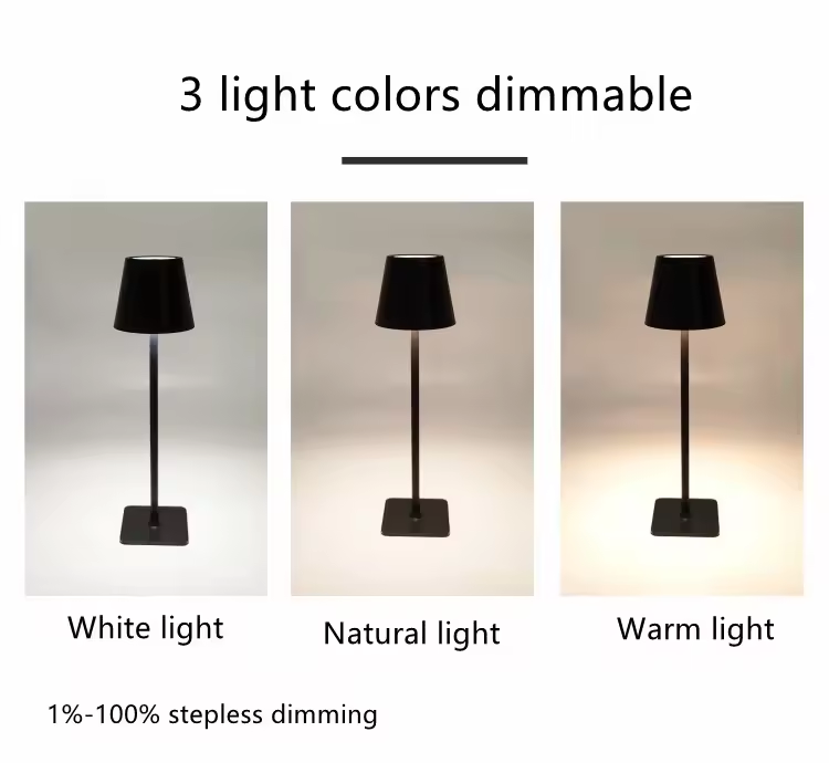 USB Rehcargeable Wrought Iron Tall 2.5W 3 CCT Dimmable LED Table Lamp 2