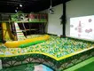 SKP standard childrens jungle gym factory price for play centre 5