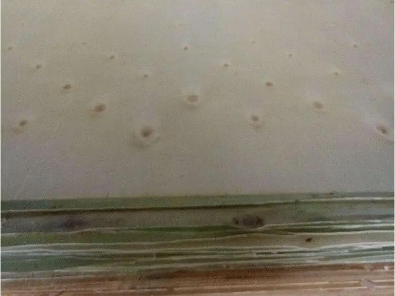 SKP childrens childrens wooden table and chairs special design for nursery 7