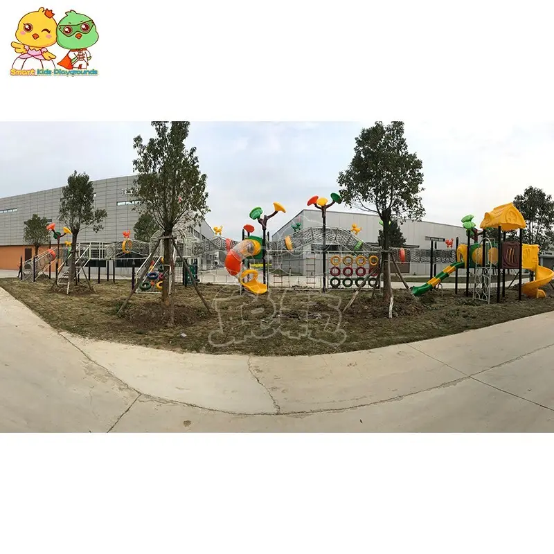 SKP healthy climbing wall on sale for gargen 4