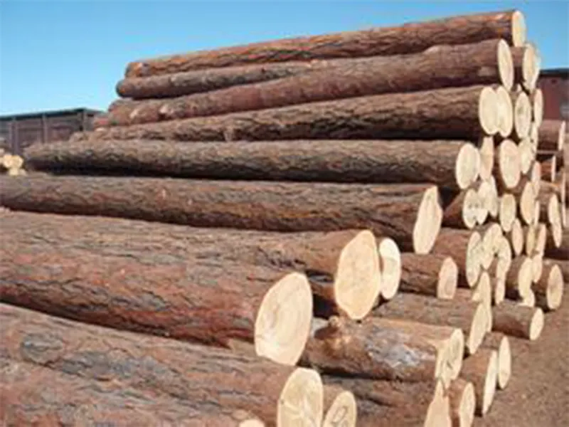 durable childrens wooden table and chairs role promotion for nursery 10