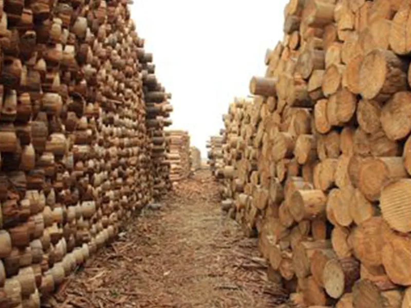 SKP indoor rope play equipment for challenge for play house 4