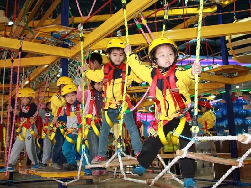 challenge adventure sale customized Smart Kids Playgrounds Brand rope play equipment supplier 6