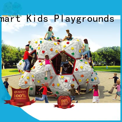 Wholesale rock kids climbing Smart Kids Playgrounds Brand 1