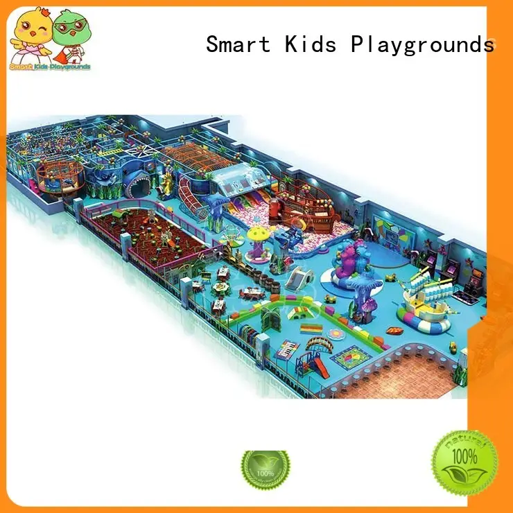 Quality Smart Kids Playgrounds Brand ocean themed toys for toddlers castle children 1