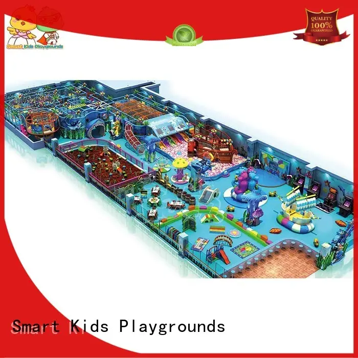 Smart Kids Playgrounds ocean themed playground wholesale for garden 1