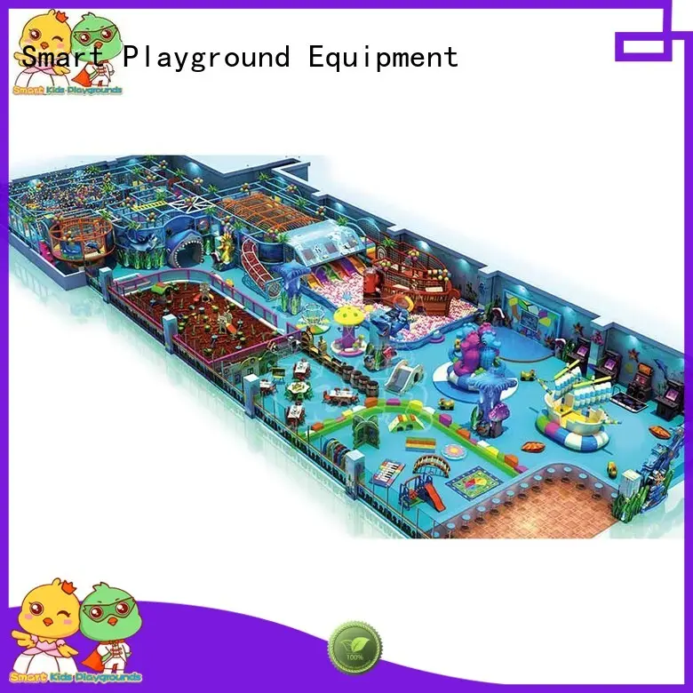 Customized ocean themed playground playground supplier for shopping mall 1