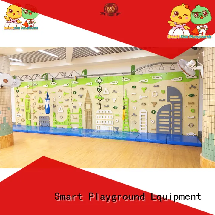 SKP healthy climbing equipment exercise for gargen 1