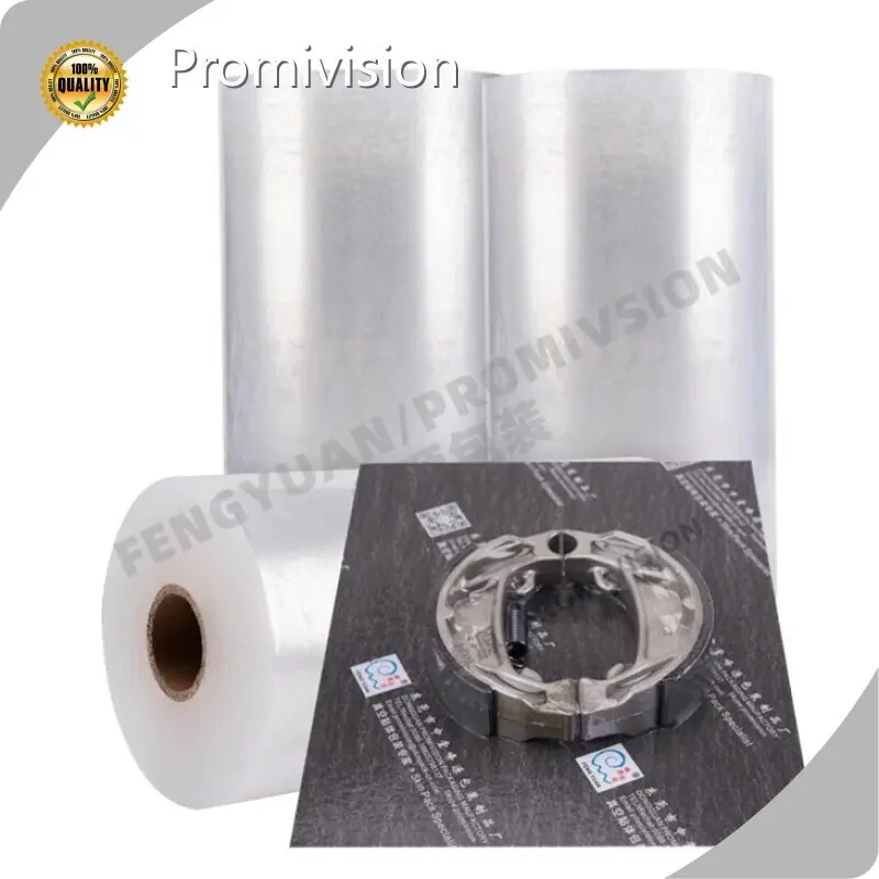 Surlyn Skin Film - for Apartment - Promivision 1