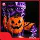 Newest Mylar Shipping Bags for Wholesale 1