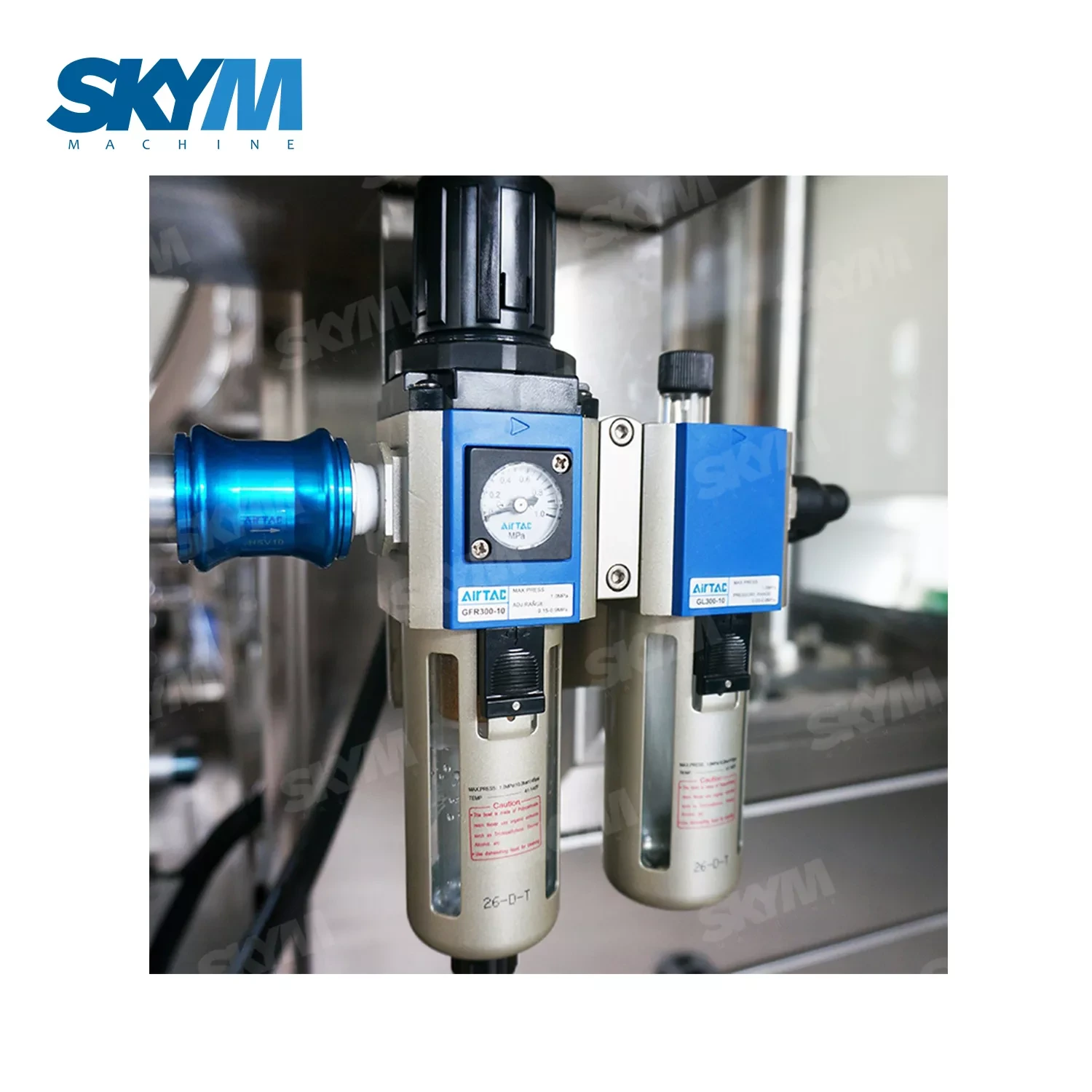 PLC Contorlled 6L Edible Oil Filling Machine 1