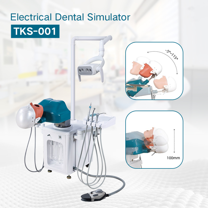 Electric Oral Dental Training Simulator Manikin System Dental Simulation Unit Head Models 3