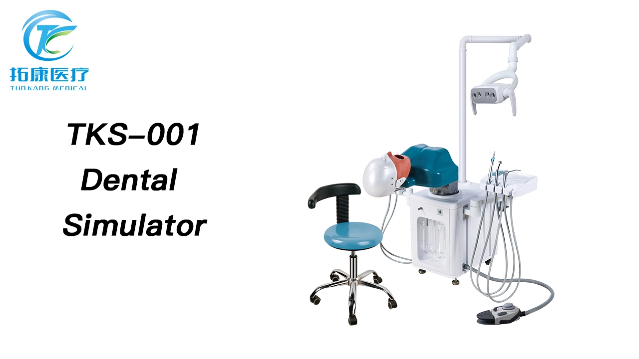 Electric Oral Dental Training Simulator Manikin System Dental Simulation Unit Head Models 1