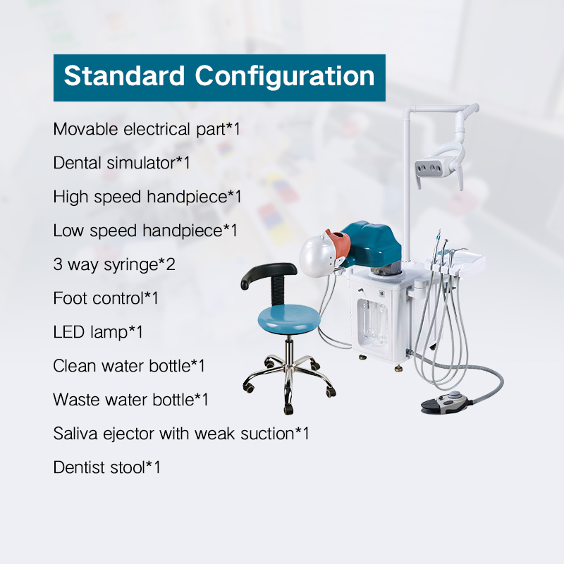 Electric Oral Dental Training Simulator Manikin System Dental Simulation Unit Head Models 7
