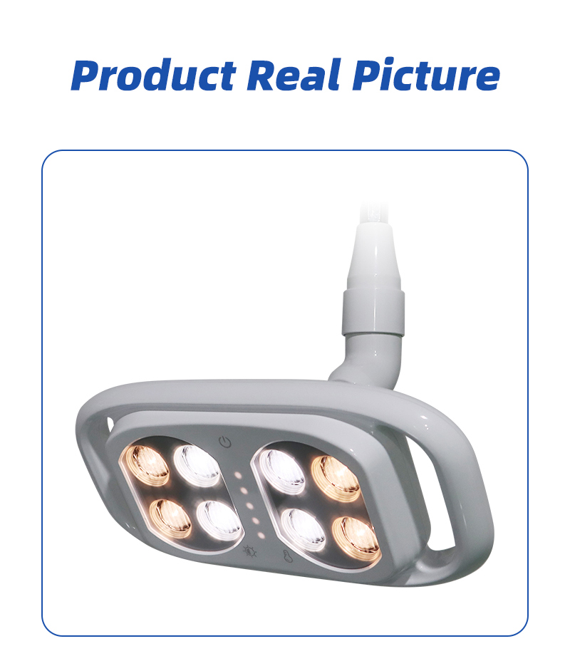 BF-45S New 8 LED Dental Lamp Oral Light For Chair Light Bicolor Adjustable Brightness Lamp With Touch Screen manufacture 17