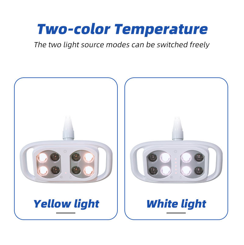 BF-45S New 8 LED Dental Lamp Oral Light For Chair Light Bicolor Adjustable Brightness Lamp With Touch Screen manufacture 15