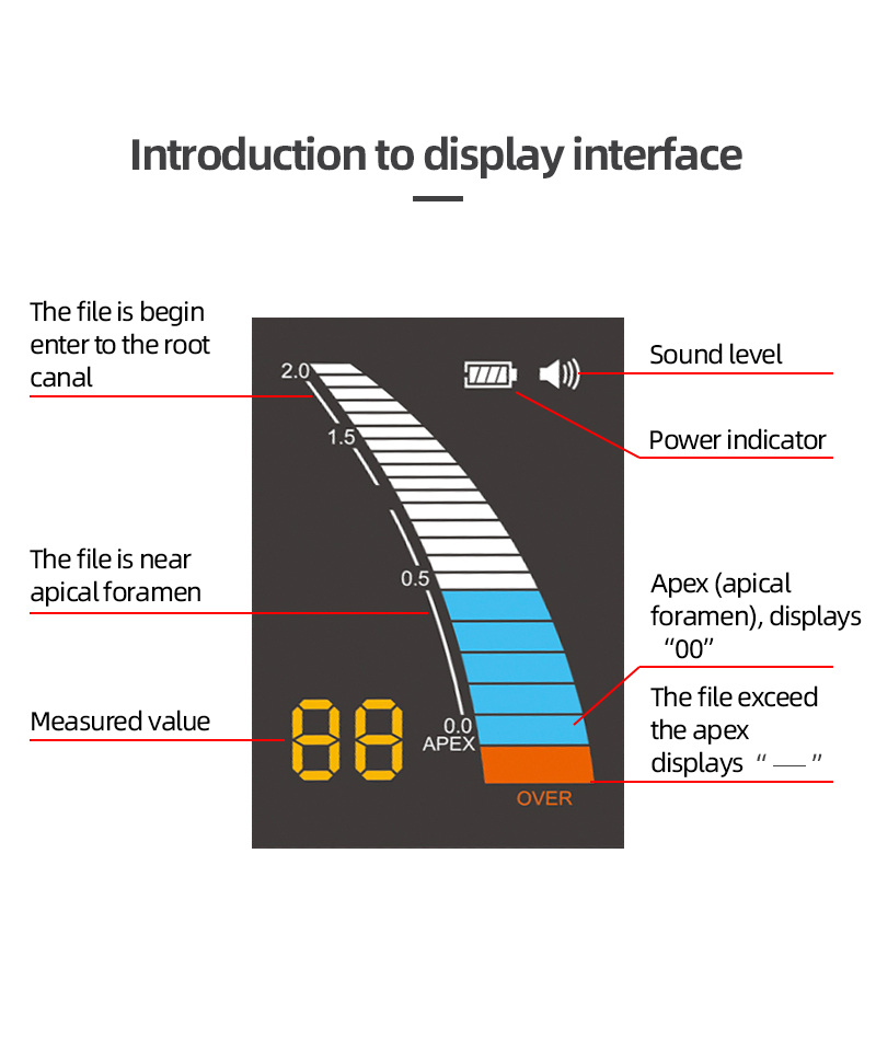 Customized dental apex locator manufacturers From China -TK Dental 4