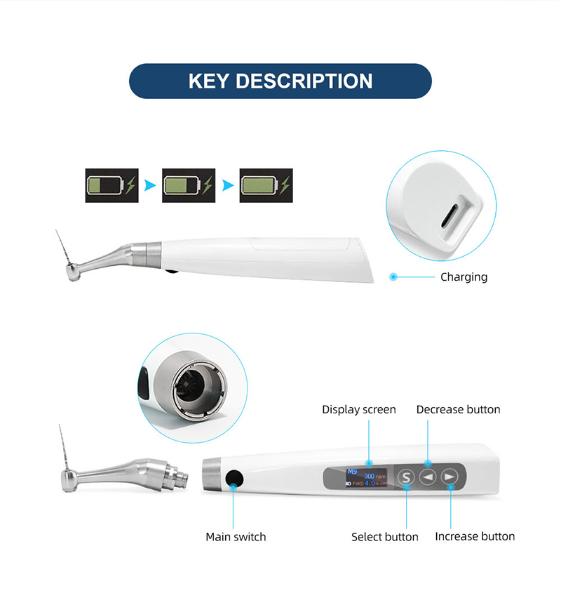 Foshan Best Dental Supplier Endo Motor For Clinic Hospital-TK Dental 12