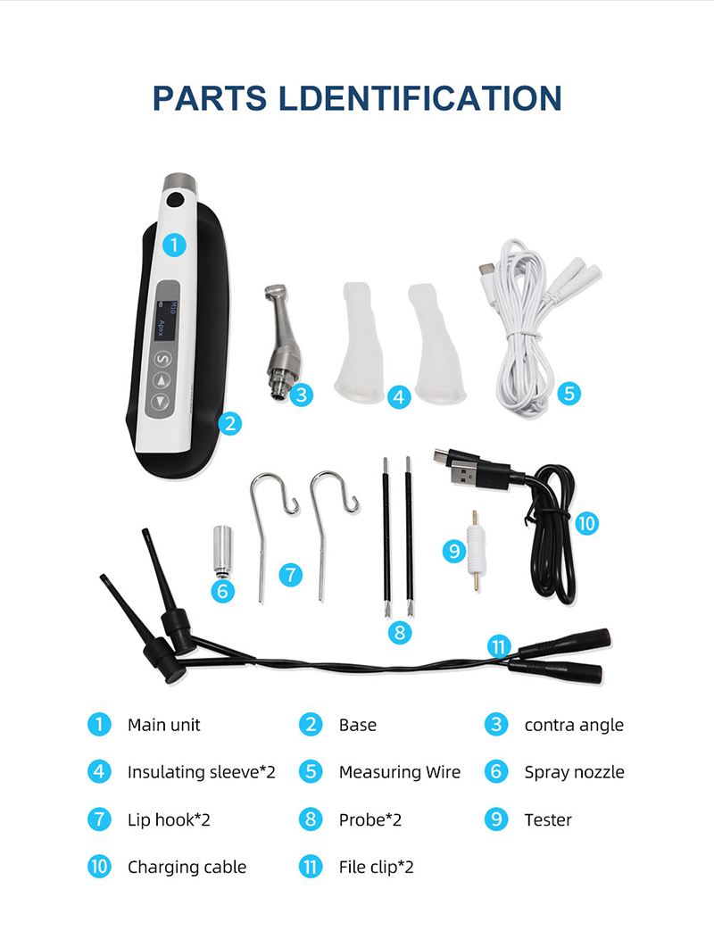 Foshan Best Dental Supplier Endo Motor For Clinic Hospital-TK Dental 14