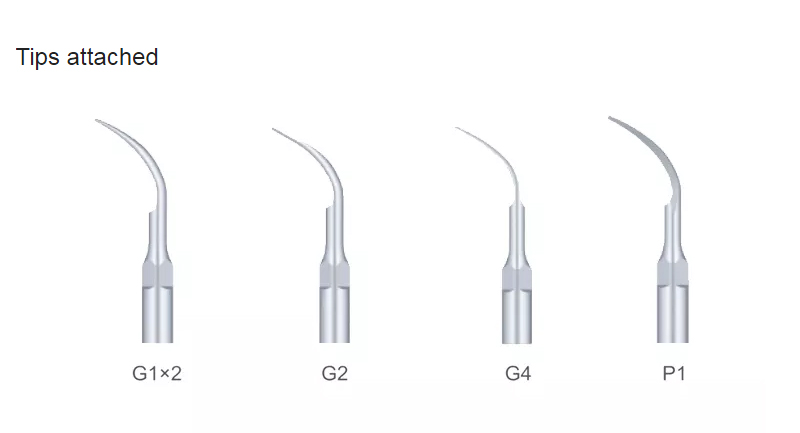 Quality Woodpecker UDS-N2 LED Scaler Dental Built-in Ultrasonic Scaler for Dental Chair Manufacturer 13