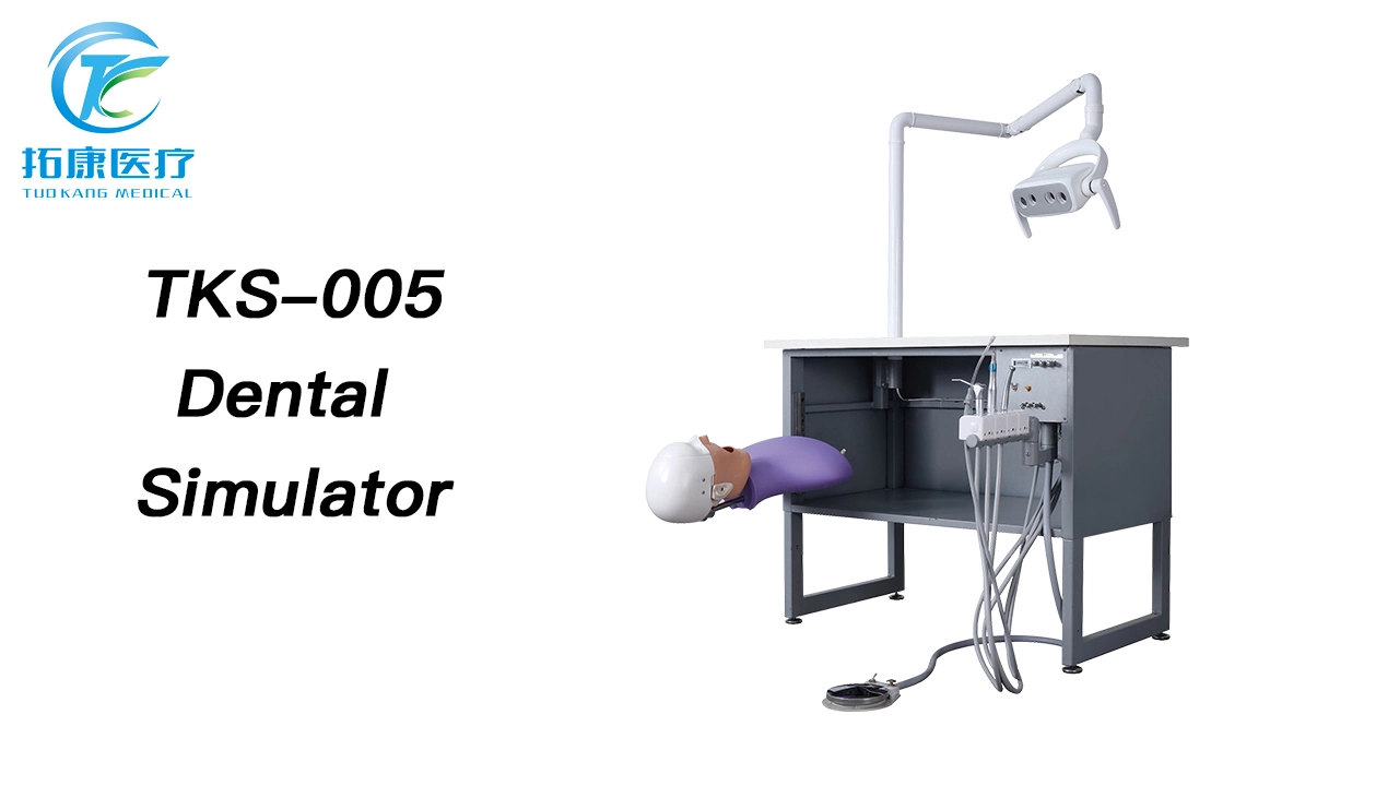 TKS-005 Manikin Dental Training Practice Phantom Head Simulator 1