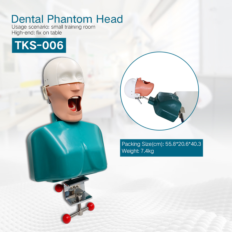 TKS-006 Best Study Training Method Dental Manikin Phantom Head Model 3