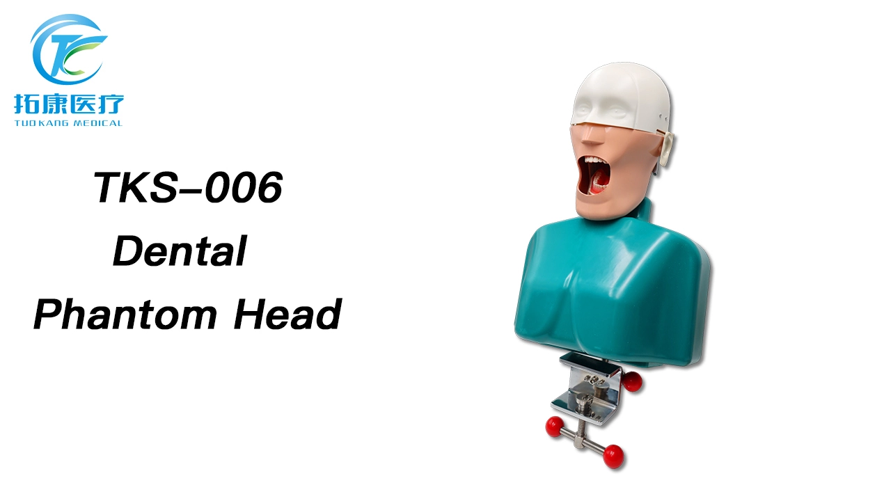 TKS-006 Best Study Training Method Dental Manikin Phantom Head Model 1