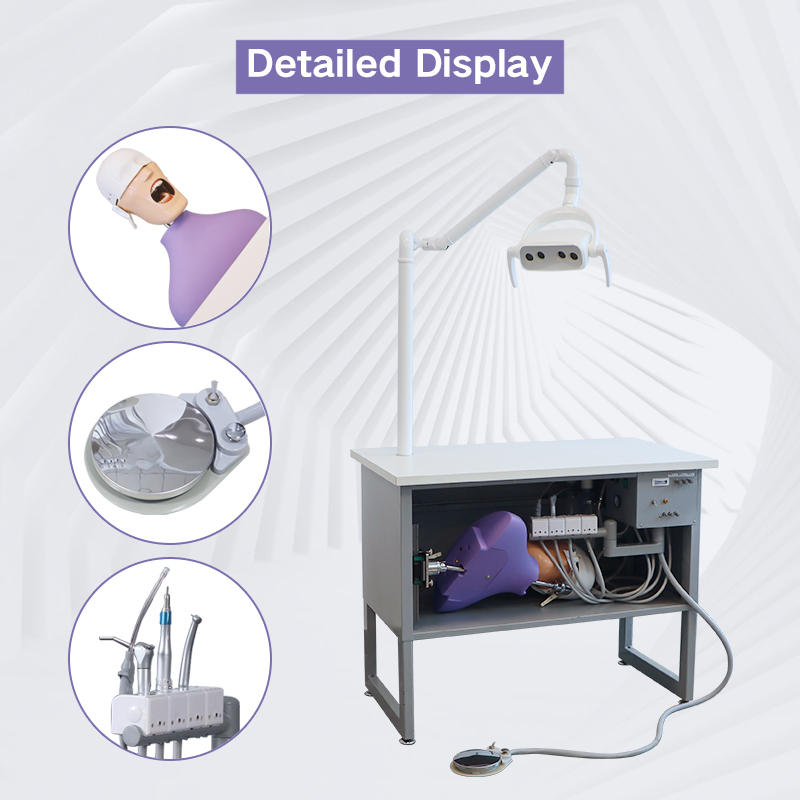 TKS-005 Manikin Dental Training Practice Phantom Head Simulator 4