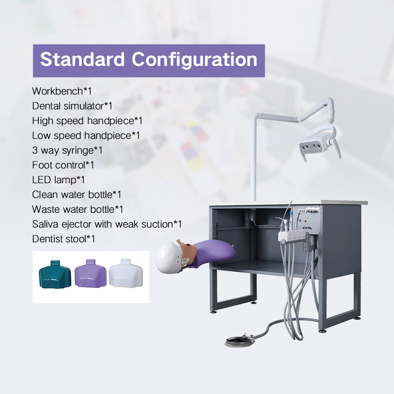 TKS-005 Manikin Dental Training Practice Phantom Head Simulator 6