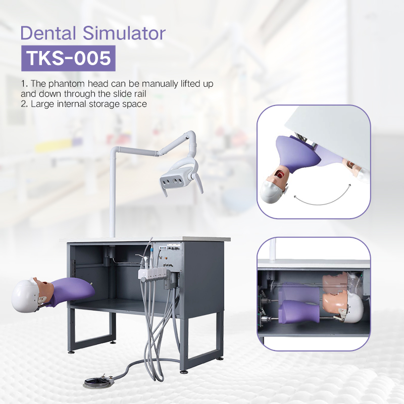 TKS-005 Manikin Dental Training Practice Phantom Head Simulator 3