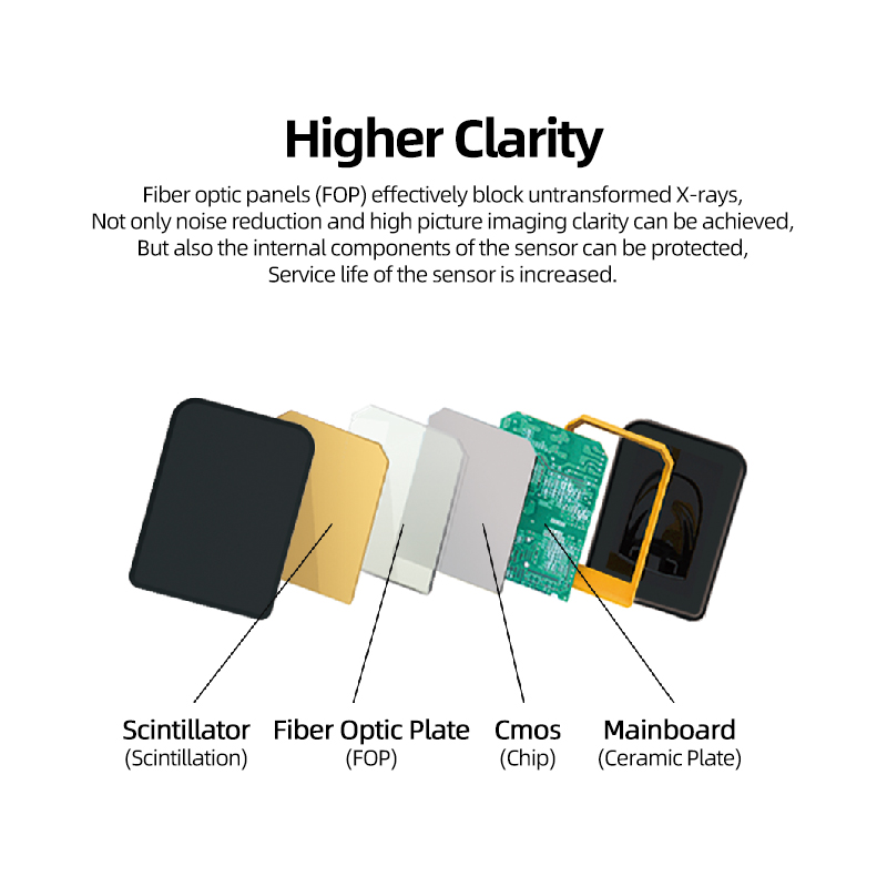 Dental x-ray sensor USB dental digital intraoral x ray sensor price 4