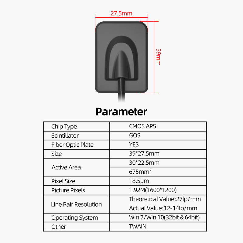 Dental x-ray sensor USB dental digital intraoral x ray sensor price 7