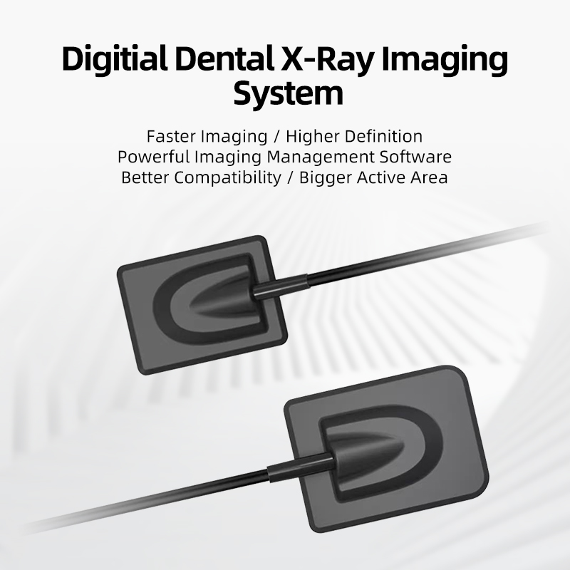 Dental x-ray sensor USB dental digital intraoral x ray sensor price 3