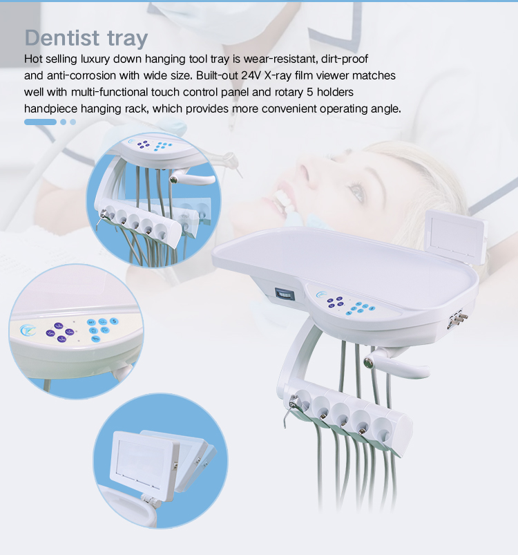 Wholesale 1*20GP send to North America with good price - TK Dental 4