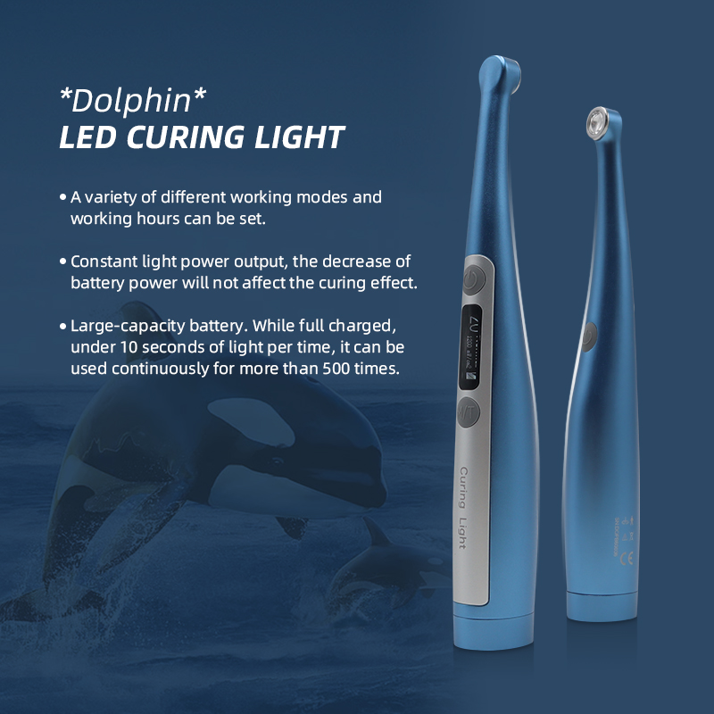 Dental Light Cure Lamp Composite Resin Machine LED UV Glue Curing Light Dental Clinic-TK Dental 3