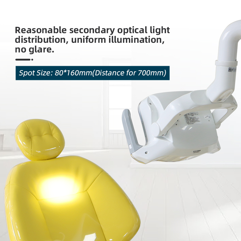 TKDL-028 Six Beads Double Color Temperature LED Dental Light China Manufacturer 6