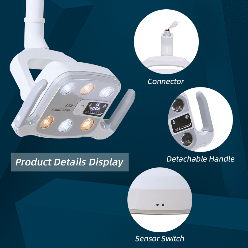 TKDL-028 Six Beads Double Color Temperature LED Dental Light China Manufacturer 4