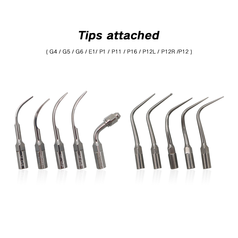 TKV-007 Built-in Type Dental Ultrasonic Handpiece Scaler Dental Tooth Cleaner 6