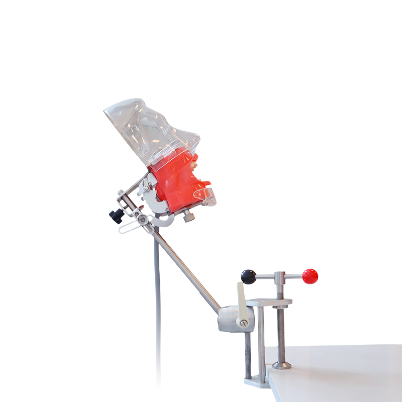 Dentist Teaching Training Tools Teeth Detachable Head Model Dental Manikin Phantom Simulator Head Simulation Unit 6