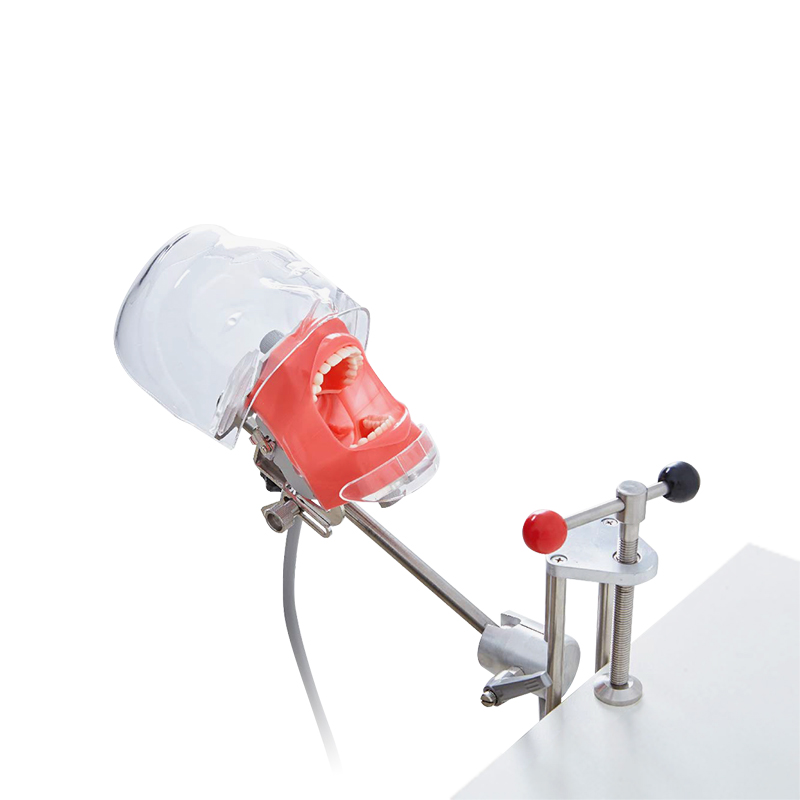 Dentist Teaching Training Tools Teeth Detachable Head Model Dental Manikin Phantom Simulator Head Simulation Unit 2