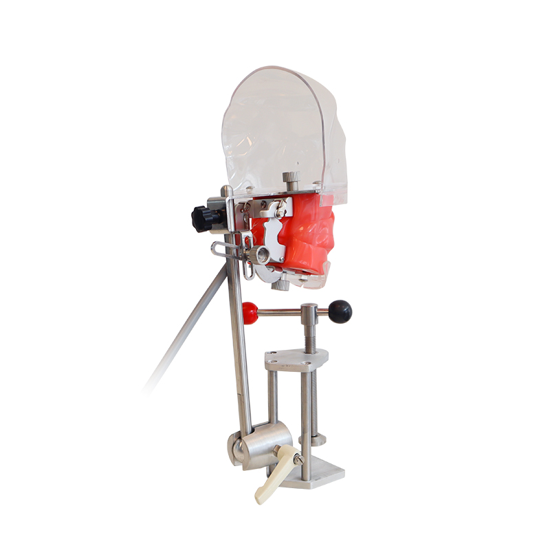 Dentist Teaching Training Tools Teeth Detachable Head Model Dental Manikin Phantom Simulator Head Simulation Unit 8