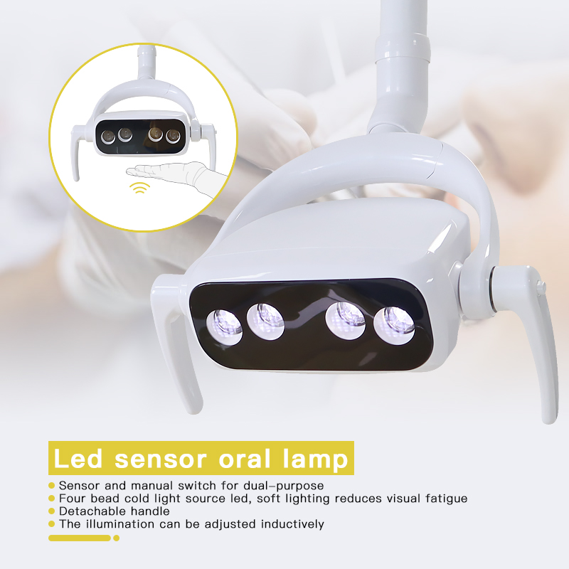 A 20GP TK-501 Dental Chair Unit to West Asia 5